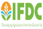 IFDC